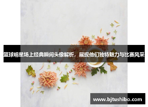 篮球明星场上经典瞬间头像解析，展现他们独特魅力与比赛风采
